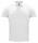 CLIQUE CLASSIC OC POLO BIANCO 00