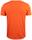 CLIQUE BASIC-T V-NECK ARANCIO 18