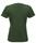 CLIQUE NEW CLASSIC-T LADY VERDE BOTT. 68