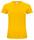 CLIQUE CLASSIC OC-T LADY GIALLO 10